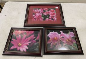 Three Flower Prints