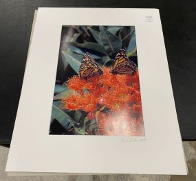 Signed Butterfly Print