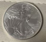 2020 American Silver Eagle