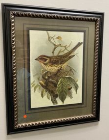 Framed Bird Print