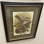 Framed Bird Print