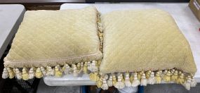 Two Decorative Throw Pillows