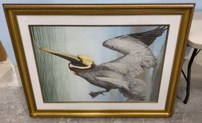 Large Pelican Framed Print