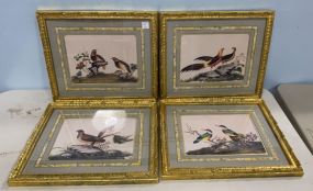 Four Chelsea House Gold Gilt Bird Prints