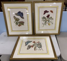 Three Butterfly Prints