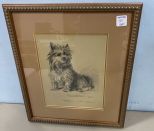 Signed Print of Scotty Dog