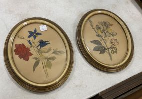 Pair of Oval Prints of Flowers