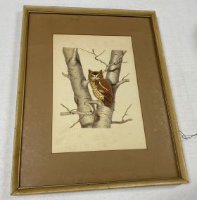 Framed Owl Print