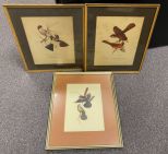 Three Bird Lithograph