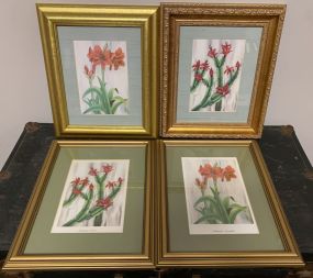 Four Decorative Floral Prints