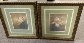 Pair of Decorative Flower Prints