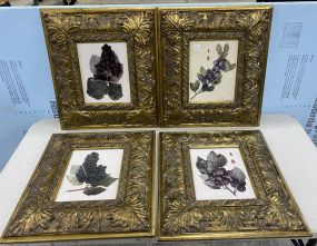 Four Gold Gilt Framed Grapes