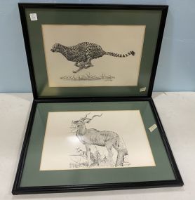 Two Jane Phillips Drawing Prints