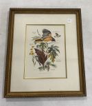 Signed Bird Lithograph