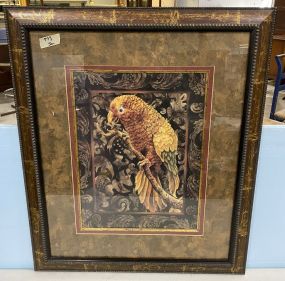 Framed Parrot Print