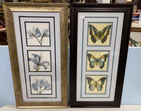Two Framed Prints of Flowers and Butterflies