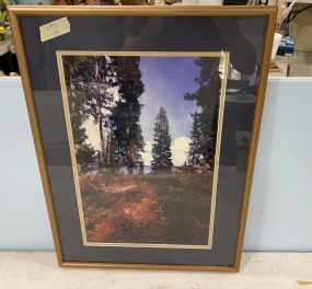 Framed Landscape Photograph