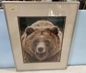 Framed Bear Print