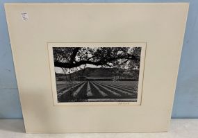 Curtis Kynerd Farm Field Photograph