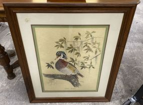 Southern Woodduck Signed Schepers 7/83