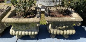 Pair of Concrete Planters