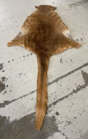 Kangaroo Pelt/Rug