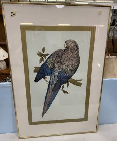 Signed Artist Proof of Parrot