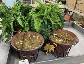 Four Metal Hanging Planters