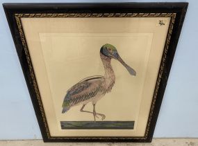 Roseate Spoonbill Artist Proof by Nona Lee