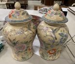 Pair of Chinese Porcelain Urns