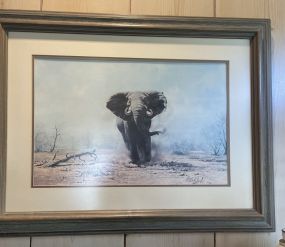 Elephant Print? by Guy Coheleach'