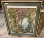 Framed Scenic Landscape Print