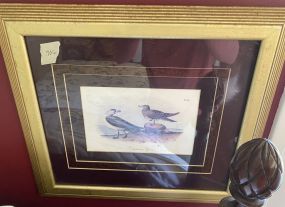 Richardson Jager Birds Framed Print