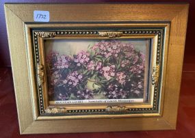 La Donna Walters Mountain Laurel Print