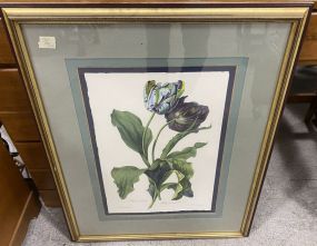 Tulipa Framed Lithograph