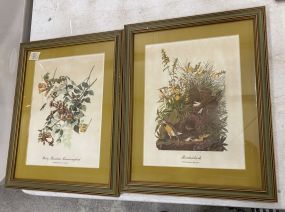 Meadowlark and Ruby Throated Hummingbird Prints