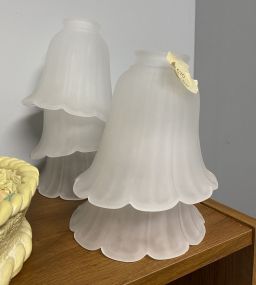 5 Frosted Light Fixture Shades