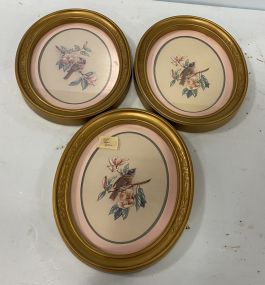 Three Plastic Gold Oval Bird Prints