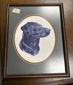 Black Lab Portrait Print