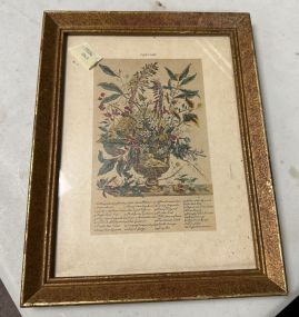 January Botanical Framed Print