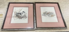 Two Decorative Bird Prints