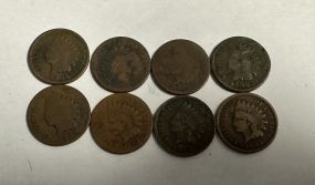 8 Indian Head Pennies