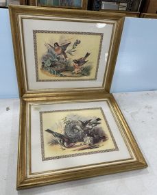 Pair of Framed Vintage Lithograph Birds