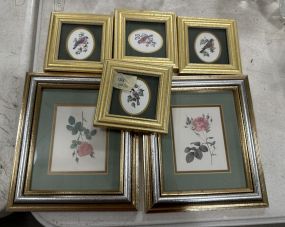 Group of Mini Framed Birds and Flowers
