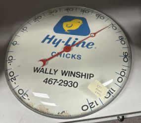 Hy line Chicks Wall Clock