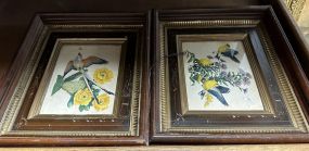 Two Vintage Framed Bird Prints