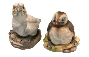 Boehm Bone Porcelain Birds 6
