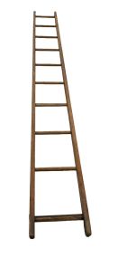 Large Oak Primitive Ladder 11'4