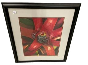 Signed Benton 2000 Coloring
