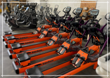 Commercial Fitness And Gym Equipment